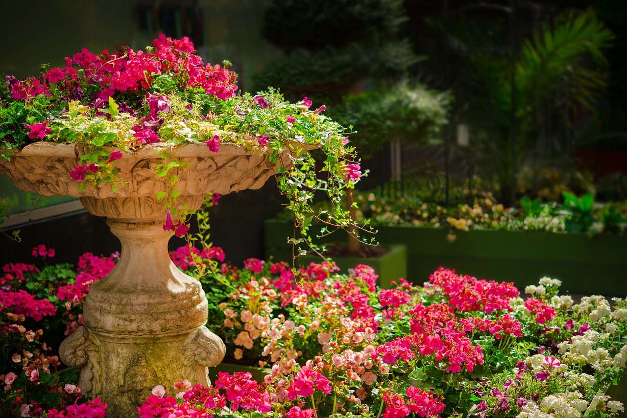 7 Essential Flower Garden Tips for Stunning Blooms.