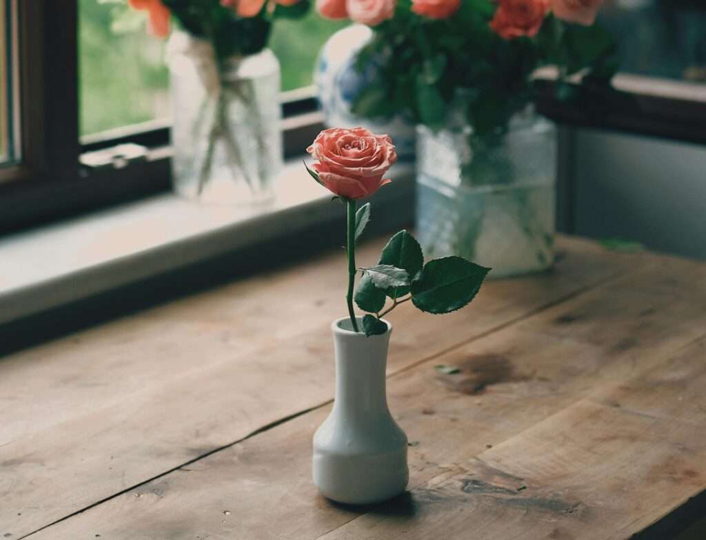 how to take care of roses in vase